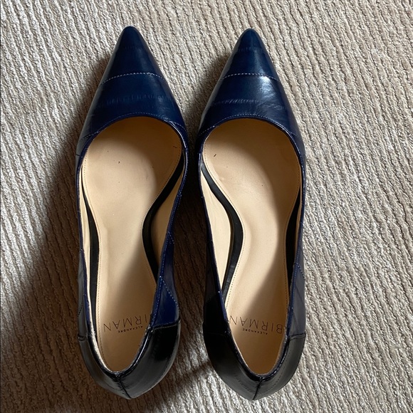 Alexandre Birman Textured Leather Two Tone Blue Black Python Pumps Heels 7.5 - Picture 12 of 15